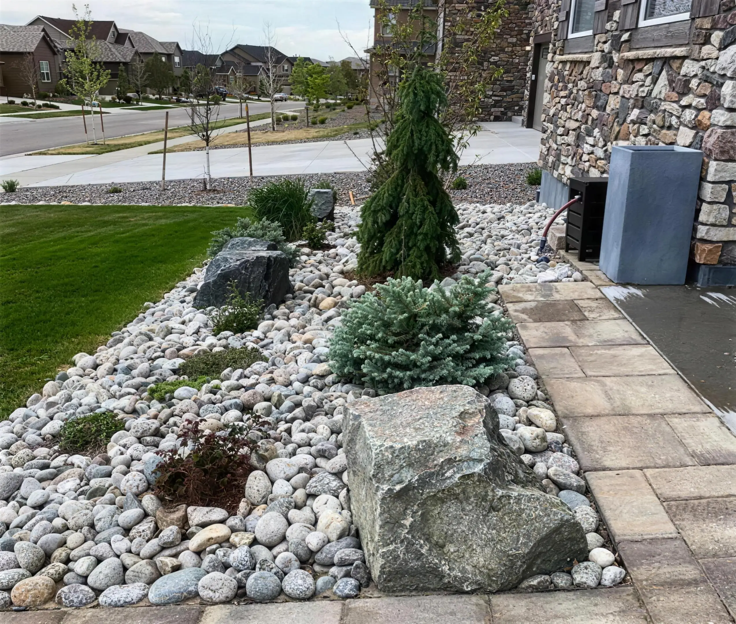 Water-wise front bed with river rock, boulders, and young evergreens beside a paver walk